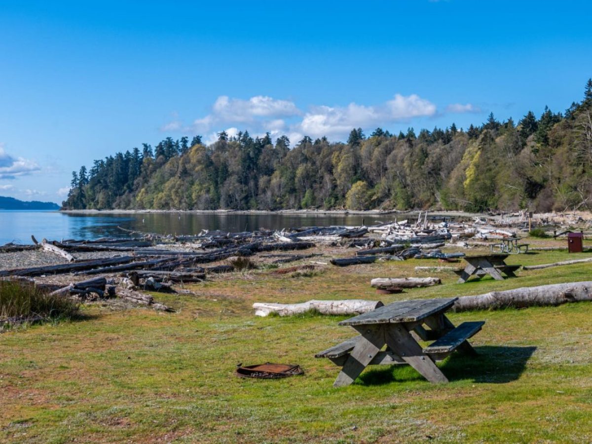 a lush green field next to a body of water